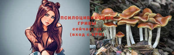 mix Вяземский