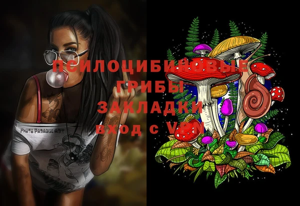 mix Вяземский