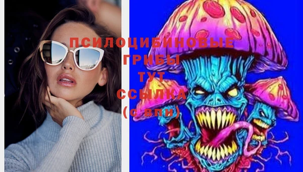 спиды Вязники