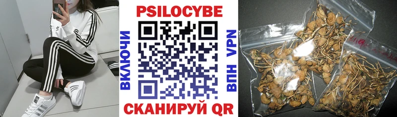 Галлюциногенные грибы Magic Shrooms  маркетплейс телеграм  Таганрог 